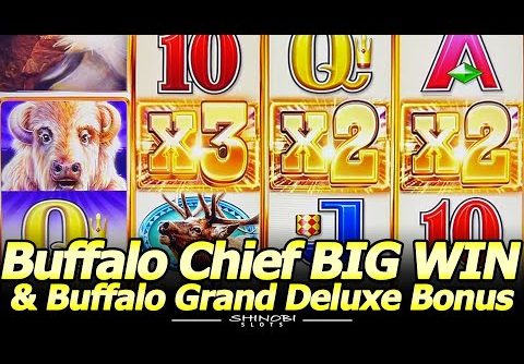 Is This My Favorite Buffalo? Buffalo Chief BIG WIN with Some Buffalo Grand Deluxe Bonus Action!