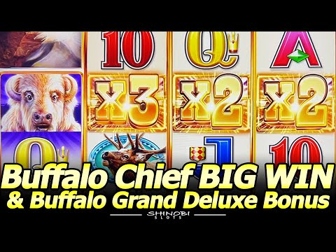 Is This My Favorite Buffalo? Buffalo Chief BIG WIN with Some Buffalo Grand Deluxe Bonus Action!