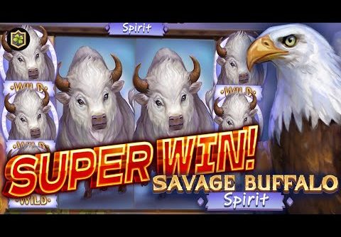 🔥 Unleashing the Wild Fortunes: Epic Win on Savage Buffalo Spirit Slot by BGaming! (Casino Supplier)