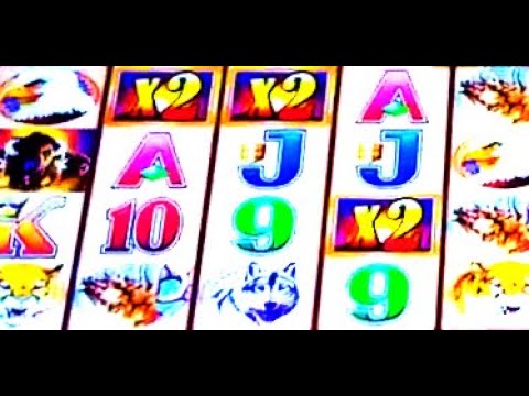 W4 WONDER WHEEL BUFFALO GOLD & PELICAN PETE 1c SLOTS * BONUSES, SUPER GAMES X2, BIG WIN!