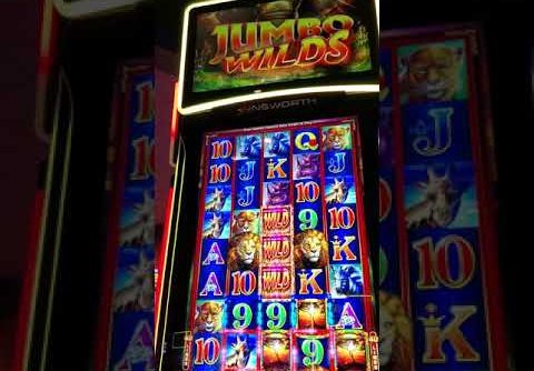 Big Win At Kentucky Downs Casino