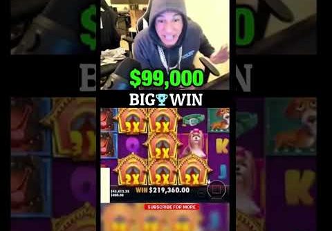 Stevewilldoit | Big Win Slot