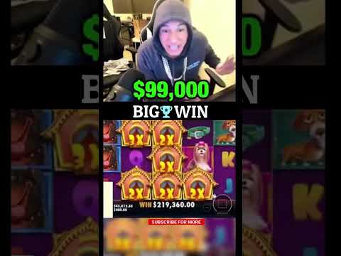 Stevewilldoit | Big Win Slot