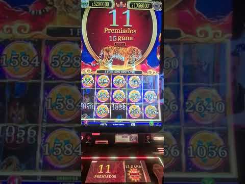 SLOT BASHIBA LINK BONUS BIG WIN HIPODROMO DE PALERMO 🎰🤑💰