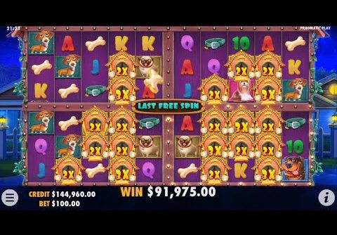 DOG HOUSE MULTIHOLD!! MAX BET BONUS!! RECORD BIG WIN!! PRAGMATIC PLAY ✌️ @SLOTKINGDOM