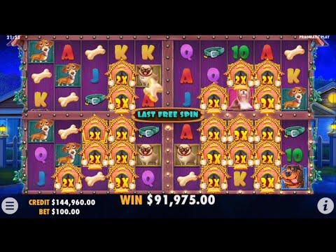 DOG HOUSE MULTIHOLD!! MAX BET BONUS!! RECORD BIG WIN!! PRAGMATIC PLAY ✌️ @SLOTKINGDOM