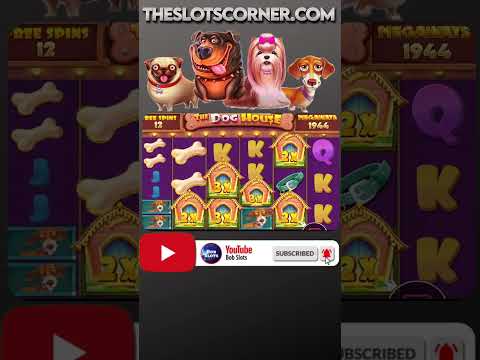 THATS NUTS!! Doghouse Megaways CRAZY BIG WIN #shorts #slots #bigwins #slotsbigwin #doghouse