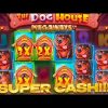 💥 DOG HOUSE SLOT PAID OFF $340,000 – HUGE BONUS BUY | Dog Mansions Slot | Dog House Big Win