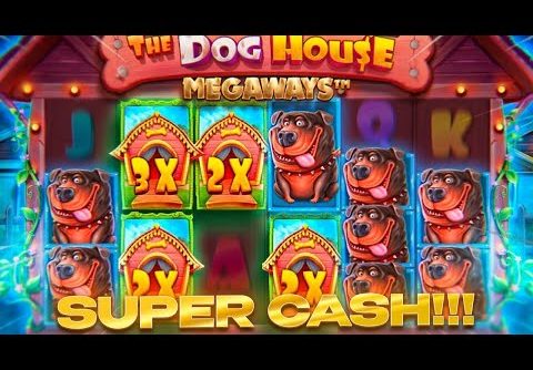 💥 DOG HOUSE SLOT PAID OFF $340,000 – HUGE BONUS BUY | Dog Mansions Slot | Dog House Big Win