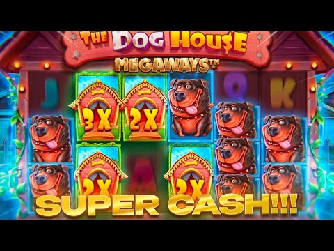💥 DOG HOUSE SLOT PAID OFF $340,000 – HUGE BONUS BUY | Dog Mansions Slot | Dog House Big Win