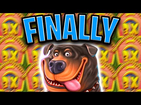 THE DOG HOUSE SLOT 😵 FINALLY PAID MASSIVE BIG WINS OMG‼️