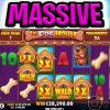 IMAGINE THIS OMG 😱 THE DOG HOUSE MEGAWAYS SLOT MEGA BIG WIN‼️ #shorts