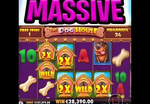 IMAGINE THIS OMG 😱 THE DOG HOUSE MEGAWAYS SLOT MEGA BIG WIN‼️ #shorts