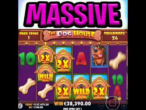 IMAGINE THIS OMG 😱 THE DOG HOUSE MEGAWAYS SLOT MEGA BIG WIN‼️ #shorts