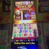 Buffalo Gold Slot Machine Bonus Super Big Win 5 cents Denomination Game Play!