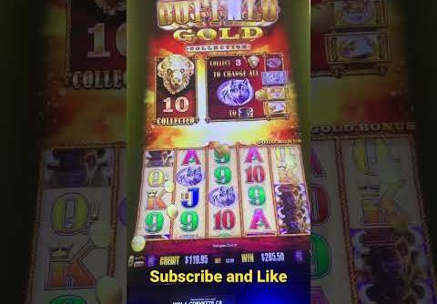 Buffalo Gold Slot Machine Bonus Super Big Win 5 cents Denomination Game Play!