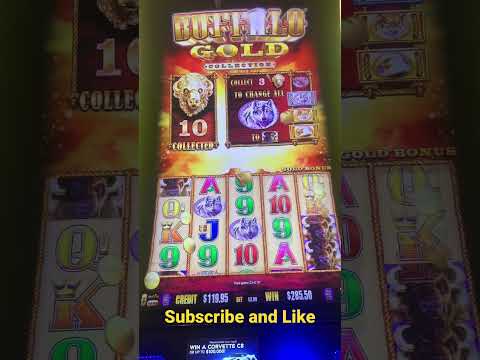 Buffalo Gold Slot Machine Bonus Super Big Win 5 cents Denomination Game Play!