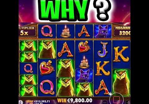 U HAVE TO SEE THIS 😱 MADAME DESTINY MEGAWAYS SLOT MEGA BIG WIN‼️ #shorts