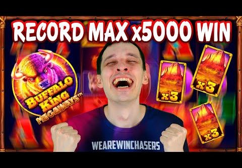 MY RECORD 🔥MAX WIN x5000 BUFFALO KING MEGAWAYS SLOT – Biggest Wins HIGHLIGHTS