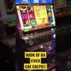 #Record alla #Bookofra fixed #shorts #slot #bigwin #casino #malta