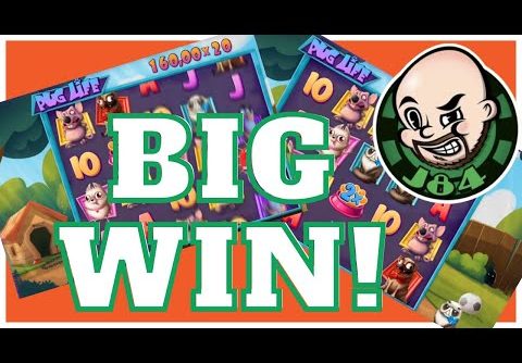 Big Win From Pug Life Slot!!