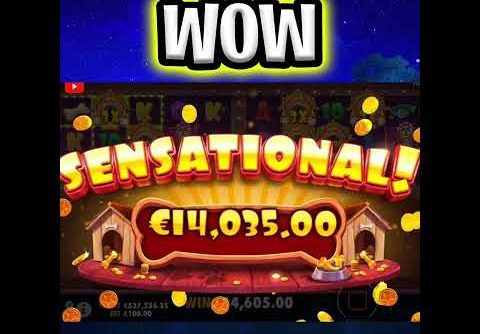 NEW DOG HOUSE MULTIHOLD 🤑 SLOT MEGA BIG WINS 🔥 €100 MAX BET OMG‼️ #shorts