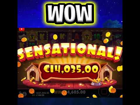 NEW DOG HOUSE MULTIHOLD 🤑 SLOT MEGA BIG WINS 🔥 €100 MAX BET OMG‼️ #shorts