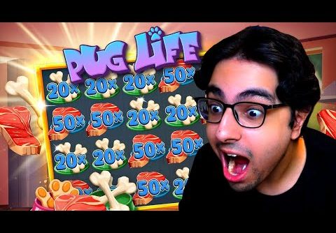 20.000$ BIG WIN ON PUG LIFE SLOT (HACKSAW GAMING)