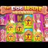 My RECORD WIN On DOG HOUSE MEGAWAYS!! (MASSIVE PROFITS)