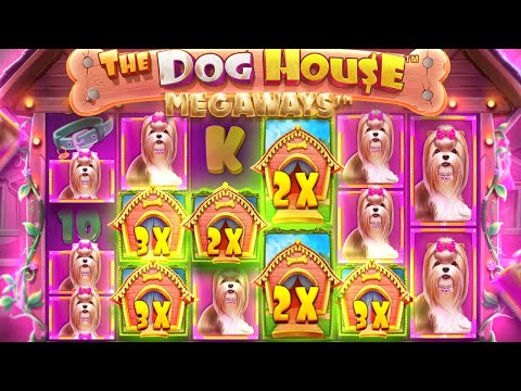 My RECORD WIN On DOG HOUSE MEGAWAYS!! (MASSIVE PROFITS)
