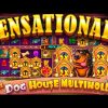 Community Member Lands Record Win On 😱 The Dog House Multihold 😱 Online Slot EPIC WIN – Pragmatic