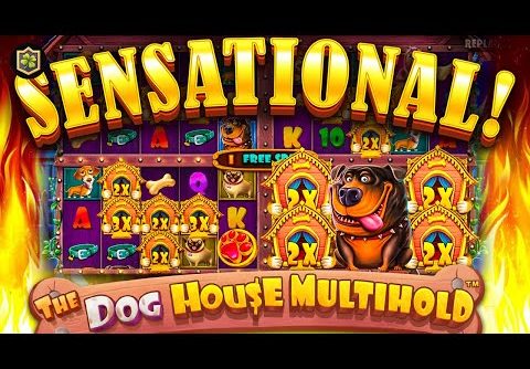 Community Member Lands Record Win On 😱 The Dog House Multihold 😱 Online Slot EPIC WIN – Pragmatic