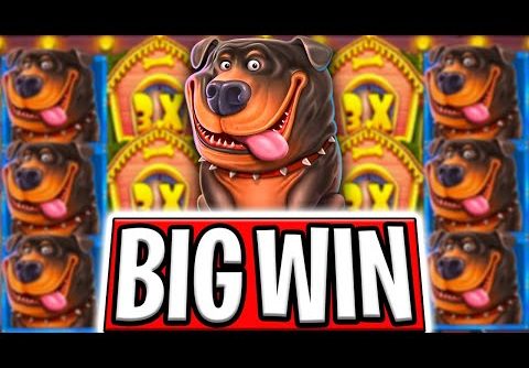 LUCKY €10.000 🤑 MAX BET BONUS BUYS 🔥 THE DOG HOUSE MEGAWAYS BIG WINS‼️