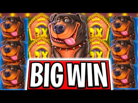 LUCKY €10.000 🤑 MAX BET BONUS BUYS 🔥 THE DOG HOUSE MEGAWAYS BIG WINS‼️