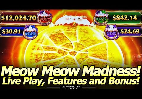 Meow Meow Madness Slot – Cute But Tough! Free Spins, Jackpot Picking and Hold and Spin Features!