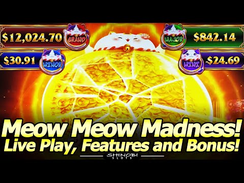 Meow Meow Madness Slot – Cute But Tough! Free Spins, Jackpot Picking and Hold and Spin Features!
