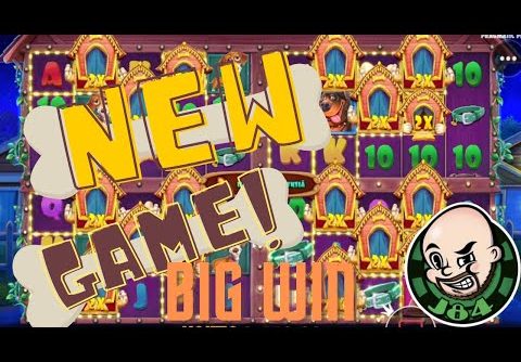 New Game!! Big Win From The Dog House Multihold Slot!!