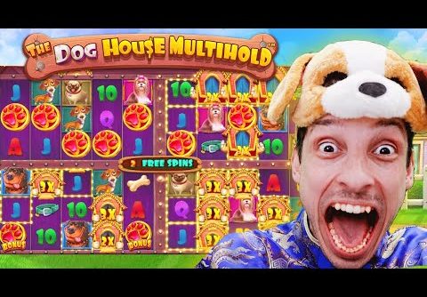 The DOG HOUSE MULTIHOLD🔥 BIG WIN BONUS BUYS!