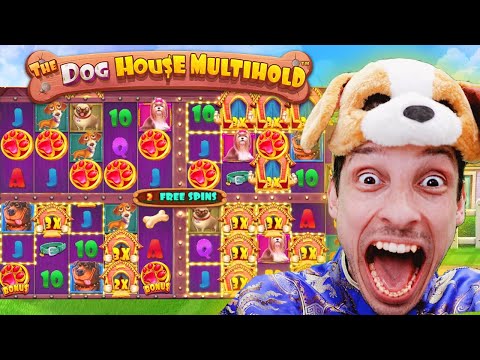 The DOG HOUSE MULTIHOLD🔥 BIG WIN BONUS BUYS!