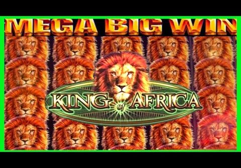 **MEGA BIG WIN!** King of Africa Slot! Taming Lions 🦁🏆💰