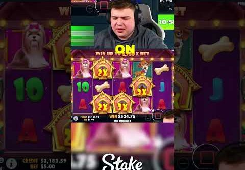 HUGE SET-UP On THE DOG HOUSE SLOT!! (BONUS BUYS) #slots #casino #doghouse #shorts