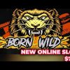 Born Wild Slot Mega Win x791