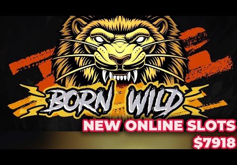Born Wild Slot Mega Win x791
