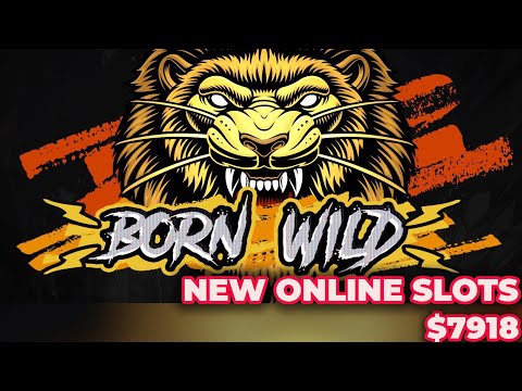 Born Wild Slot Mega Win x791