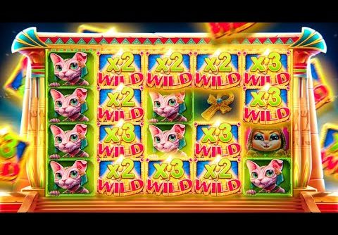 NEW RECORD WIN On CLEOCATRA!! (BONUS BUYS)