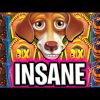 THE DOG HOUSE SLOT 🤑 MEGA JACKPOT BIG WIN BONUS 🔥 €100 MAX BET OMG FINALLY‼️