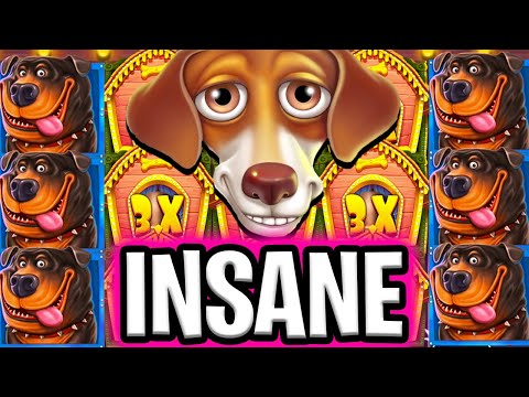 THE DOG HOUSE SLOT 🤑 MEGA JACKPOT BIG WIN BONUS 🔥 €100 MAX BET OMG FINALLY‼️