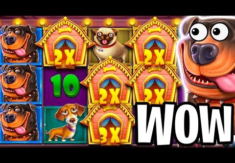 THE DOG HOUSE SLOT 🐶 €36 MAX BET 🔥SO MANY WILDS & BIG WINS‼️