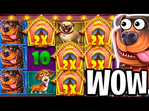 THE DOG HOUSE SLOT 🐶 €36 MAX BET 🔥SO MANY WILDS & BIG WINS‼️