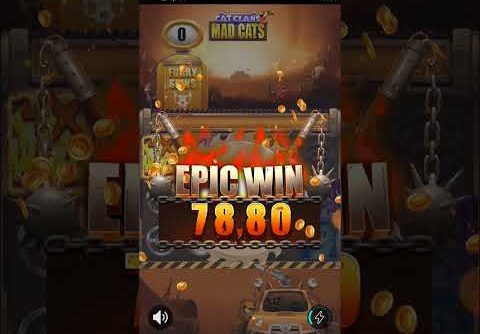 BIG WIN SLOT CAT CLANS 2 MAD CATS